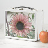 ピンク淡い色ののひまわり メタルランチボックス (インサイチュ)