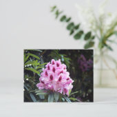 ピンク淡い色ののシャクナゲ花 ポストカード (スタンド正面)