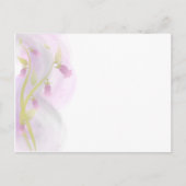 ピンク淡い色のの水彩洗剤 ポストカード (正面)