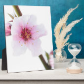 ピンク淡い色のの花 フォトプラーク (側面)