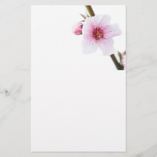 ピンク淡い色のの花 便箋 (正面)