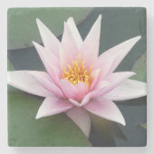 ピンク淡い色のの《植物》スイレン独身のコースター ストーンコースター (正面)