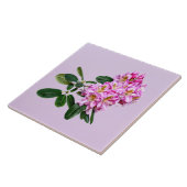 ピンク淡い色のシャクナゲ タイル (側面)