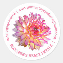 ピンク淡い色のジャイアントダリアビジネス連絡詳細