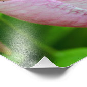 ピンク淡い色のレディースリッパーオーキッドフラワークローズアップ8x8 フォトプリント            (角)