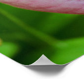 ピンク淡い色のレディースリッパーオーキッドフラワークローズアップ ポスター (角)