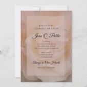 ピンク淡い色のローズお祝い追悼式 招待状 (正面)