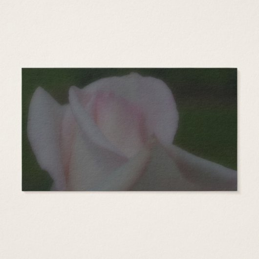 ピンク淡い色のローズフラワー名刺 (裏面)