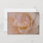 ピンク淡い色のローズフローラ結婚式RSVPレスポンスカード 出欠カード (裏面)