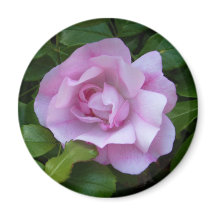 ピンク淡い色のローズ磁石