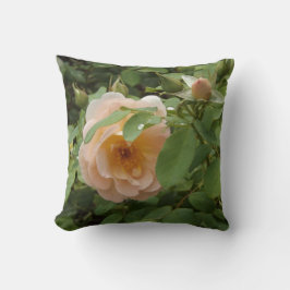 ピンク淡い色のローズ クッション