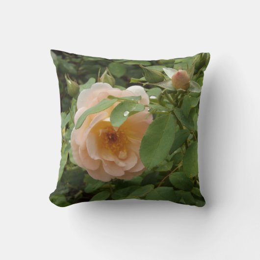 ピンク淡い色のローズ クッション (正面)