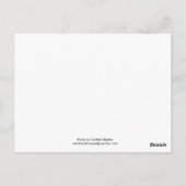 ピンク淡い色のローズ ポストカード (裏面)