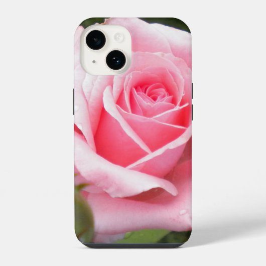 ピンク淡い色のローズ iPhoneケース (裏面)