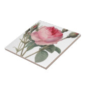 ピンク淡い色のヴィンテージ絵画バラ タイル (側面)