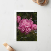 ピンク牡丹とLove-in-a-mist ノートカード (正面/裏面インサイチュ)