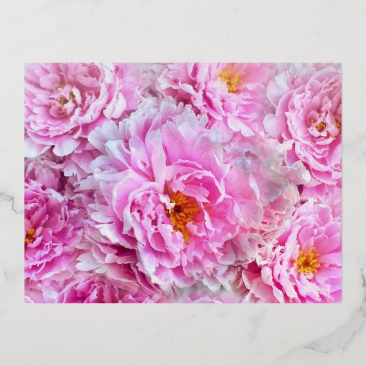 ピンク牡丹の母の日 箔シーズンポストカード (正面)
