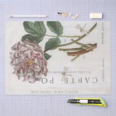 ピンク牡丹の花の植物性ドラゴンフライフランスのクラフト 薄葉紙 (クラフト)