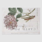 ピンク牡丹の花の植物性ドラゴンフライフランスのクラフト 薄葉紙 (正面)