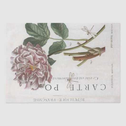 ピンク牡丹の花の植物性ドラゴンフライフランスのクラフト 薄葉紙 (正面)