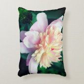 ピンク牡丹の花の開花クローズアップ アクセントクッション (正面(垂直))