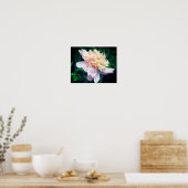 ピンク牡丹の花の開花クローズアップ ポスター (キッチン)