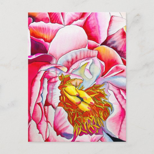 ピンク牡丹の花水色 ポストカード (正面)