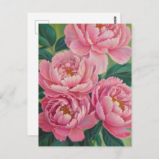 ピンク牡丹パステルフラワーフローラ ポストカード (正面/裏面)