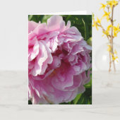 ピンク牡丹フォトコテージファームハウスフローラガーデン カード (黄色い花)