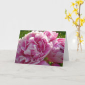 ピンク牡丹フォトコテージファームハウスフローラガーデン カード (黄色い花)