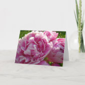 ピンク牡丹フォトコテージファームハウスフローラガーデン カード (正面)