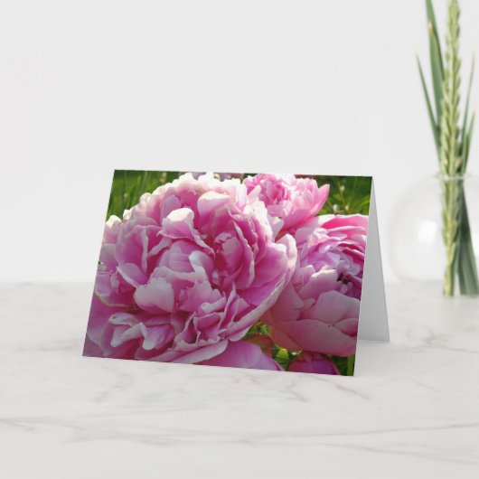ピンク牡丹フォトコテージファームハウスフローラガーデン カード (正面)