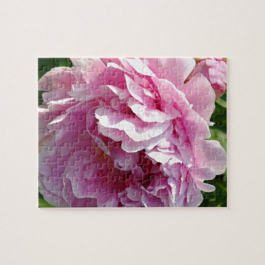 ピンク牡丹フォトコテージファームハウスフローラガーデン ジグソーパズル (横)