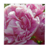 ピンク牡丹フォトコテージファームハウスフローラガーデン タイル (正面)