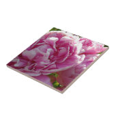 ピンク牡丹フォトコテージファームハウスフローラガーデン タイル (側面)