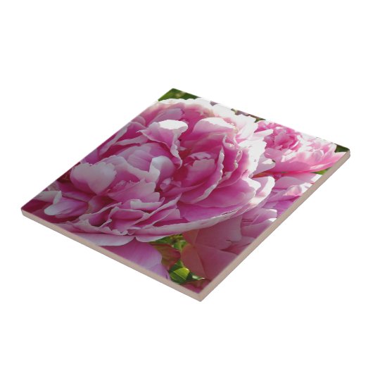 ピンク牡丹フォトコテージファームハウスフローラガーデン タイル (側面)