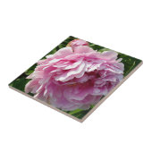 ピンク牡丹フォトコテージファームハウスフローラガーデン タイル (側面)