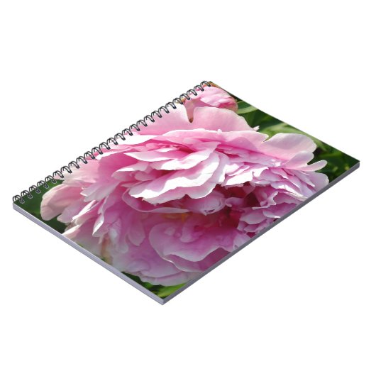 ピンク牡丹フォトコテージファームハウスフローラガーデン ノートブック (左側)