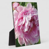 ピンク牡丹フォトコテージファームハウスフローラガーデン フォトプラーク (側面)