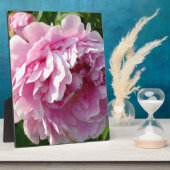 ピンク牡丹フォトコテージファームハウスフローラガーデン フォトプラーク (側面)