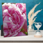 ピンク牡丹フォトコテージファームハウスフローラガーデン フォトプラーク (側面)