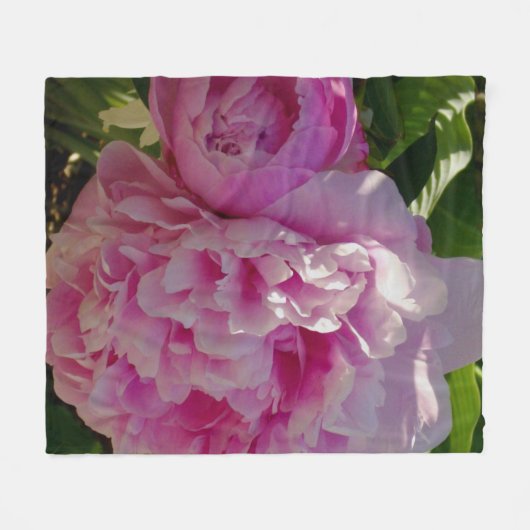 ピンク牡丹フォトコテージファームハウスフローラガーデン フリースブランケット (正面(横))