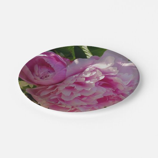 ピンク牡丹フォトコテージファームハウスフローラガーデン ペーパープレート (アングル)