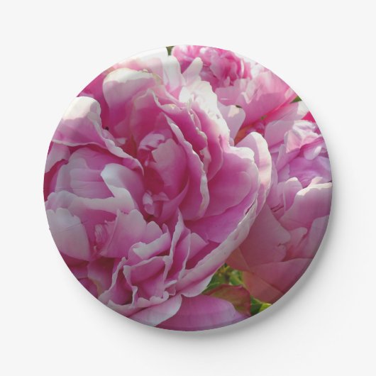 ピンク牡丹フォトコテージファームハウスフローラガーデン ペーパープレート (正面)