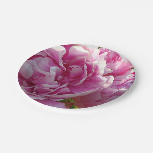 ピンク牡丹フォトコテージファームハウスフローラガーデン ペーパープレート (アングル)