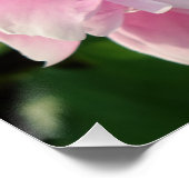 ピンク牡丹フォトコテージファームハウスフローラガーデン ポスター (コーナー)