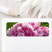 ピンク牡丹フォトコテージファームハウスフローラガーデン ラベル (インサイチュ)