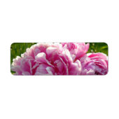 ピンク牡丹フォトコテージファームハウスフローラガーデン ラベル (正面)