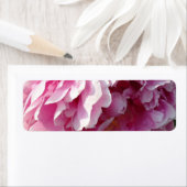 ピンク牡丹フォトコテージファームハウスフローラガーデン ラベル (インサイチュ)