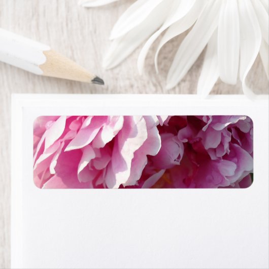 ピンク牡丹フォトコテージファームハウスフローラガーデン ラベル (インサイチュ)